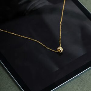 Solenne Shine Altın Renk Kaplama Çelik Kadın Kolye – Minimal Taş Detaylı Şık Kolye