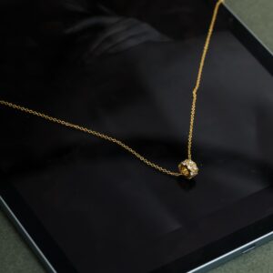 Solenne Shine Altın Renk Kaplama Çelik Kadın Kolye – Minimal Taş Detaylı Şık Kolye