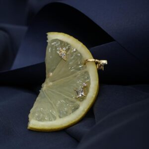 Orion 925 Ayar Gümüş Taşlı Tragus Küpesi – Minimal Helix / Cartilage Piercing Küpe